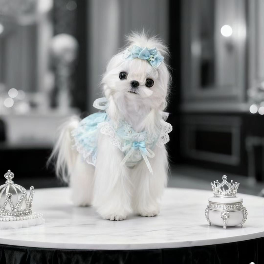 Doung Baby Royal Bridal Couture Dress