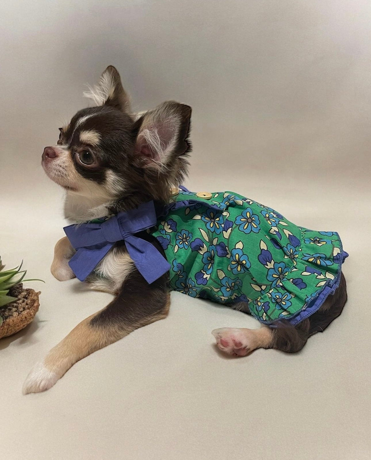 TaniWina 小型犬用グリーンリーフ・ローズカラーワンピース