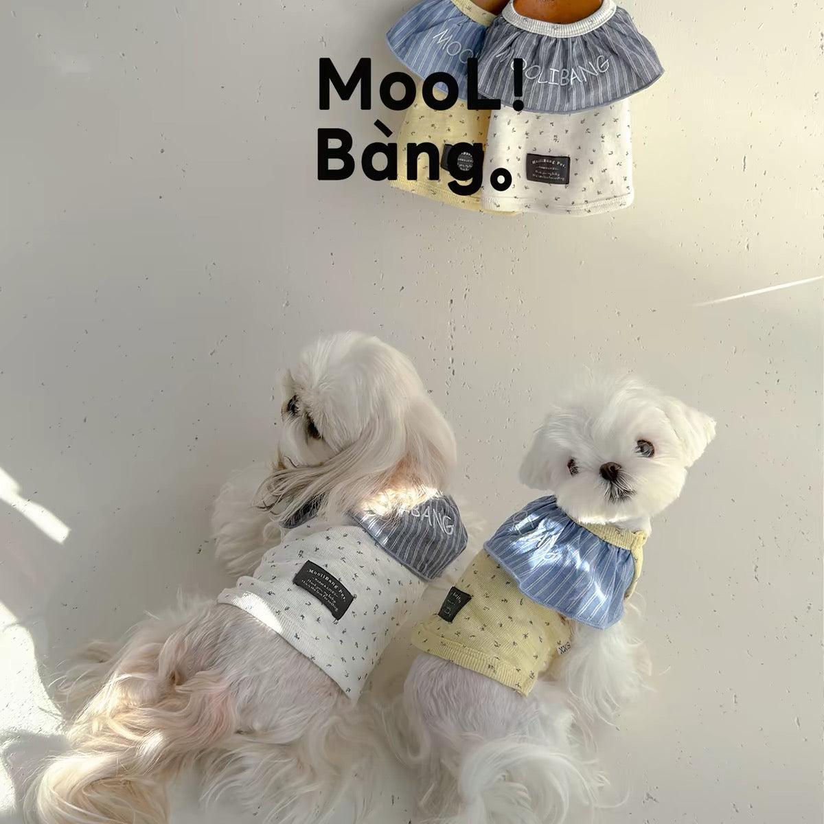 Mooli Bang Little Flower Ruffle Collar Top