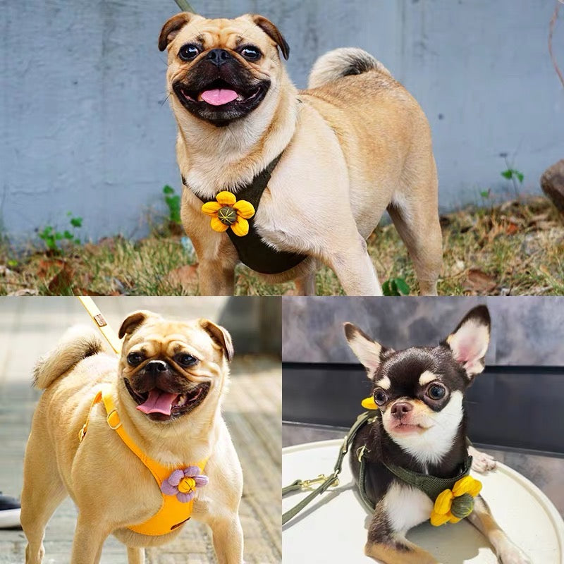 Puppytieフラワーペットハーネス&リードセット – 引っ張り防止・調節可能、小型犬&猫用| Flower Pet Harness & Leash Set – No-Pull, Adjustable for Small Dogs & Cats