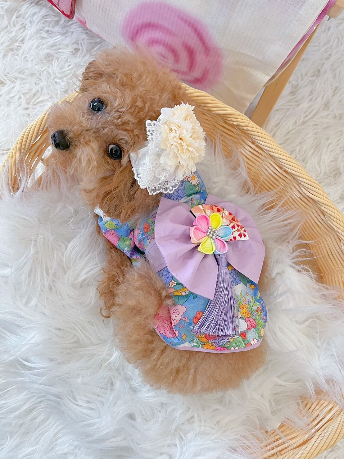 TaniWina Hydrangea Pattern Yukata for Small Dogs