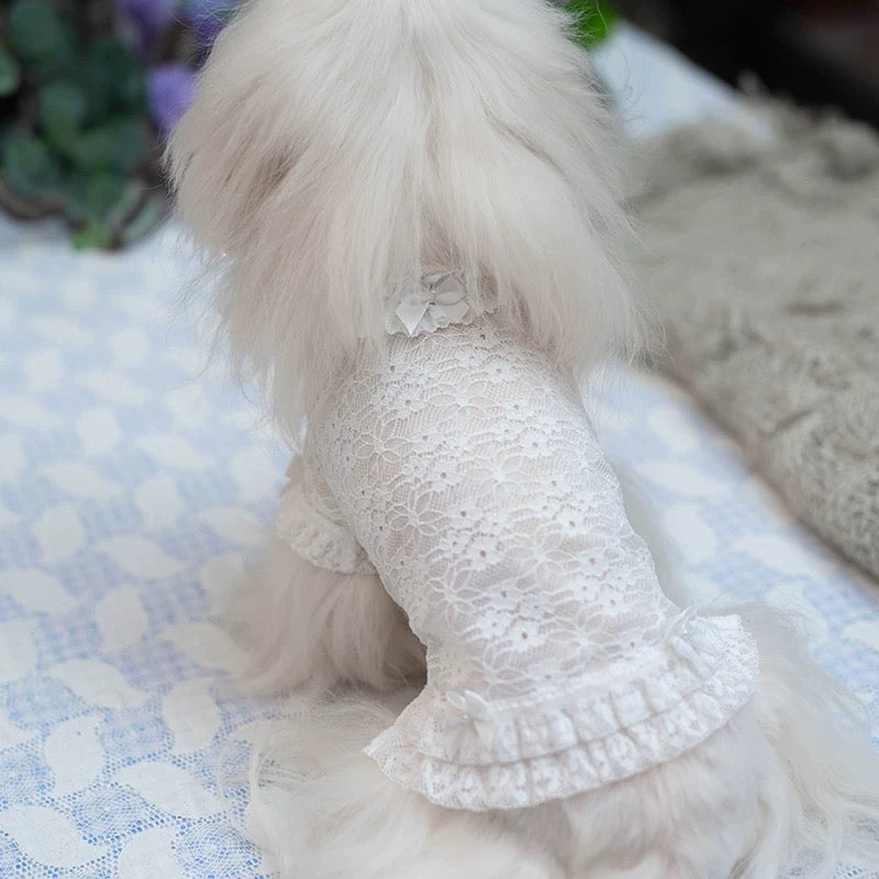 TaniWina Lace Blossom Ruffle Shirt