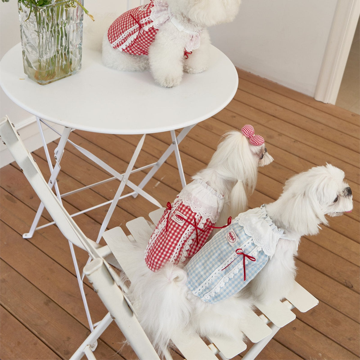 RoiRoi Red Gingham Lace Story Pet Dress