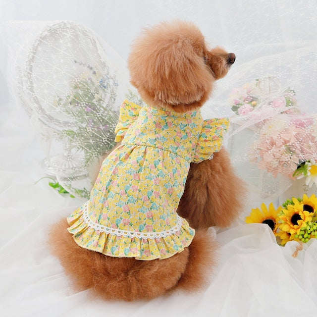 TaniWina Pawfect 花瓣花卉飛袖蕾絲公主連身裙小型犬