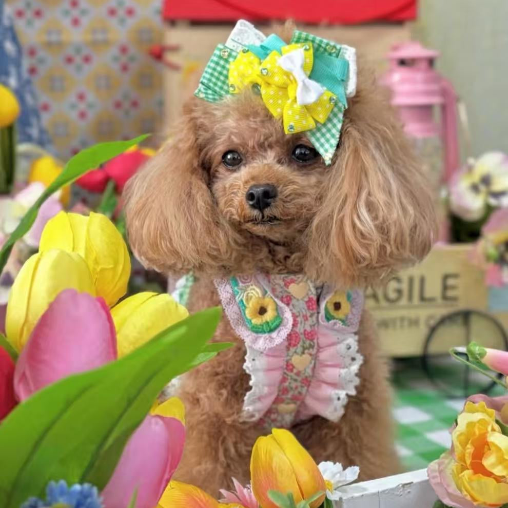 Elsamilu フェアリーフォレストエプロンペットドレス – 小型犬・猫用ロマンティックワンピース