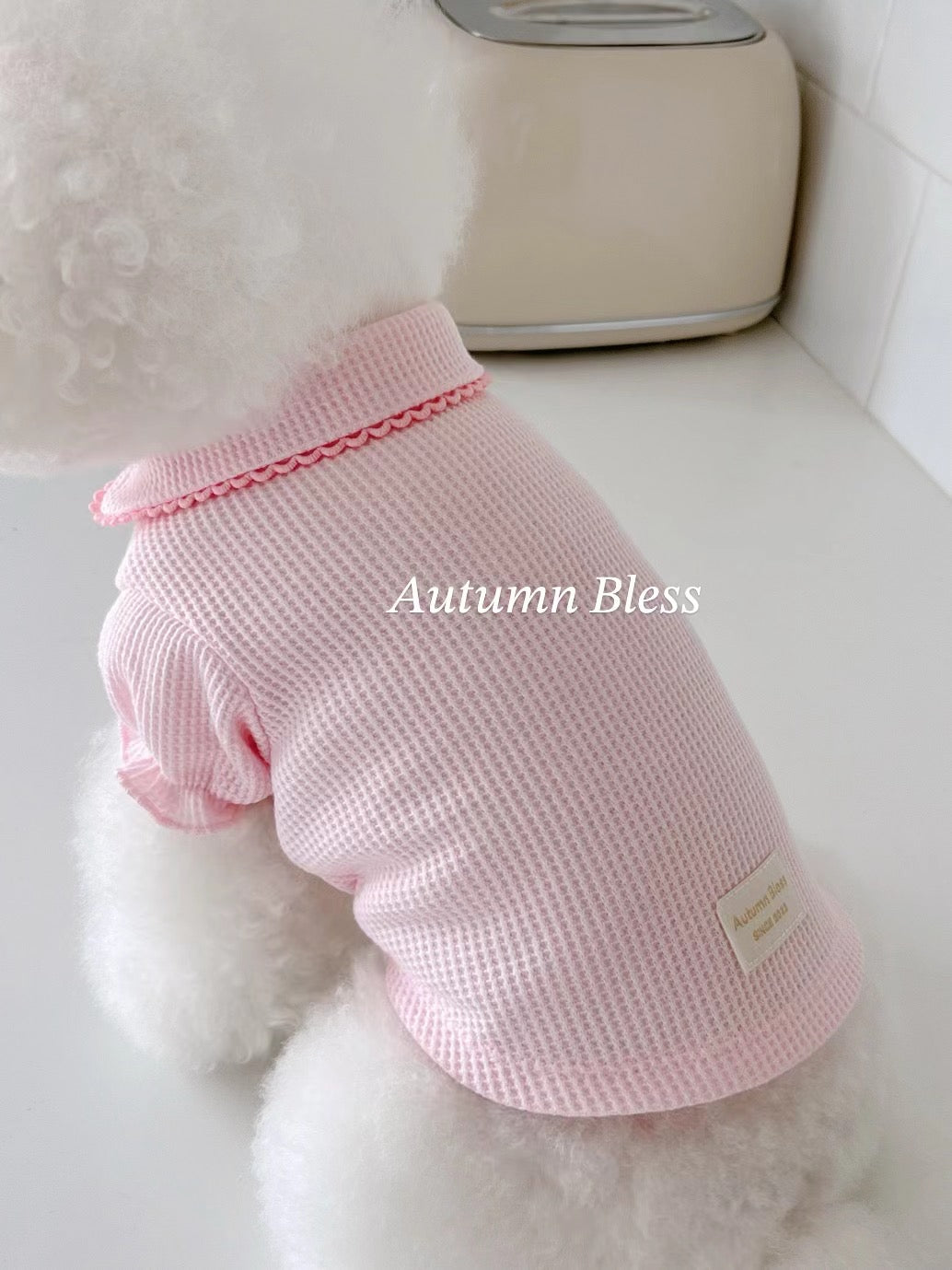 Autumn Bless Waffle Knit Dog Shirt with Collar – Soft & Lightweight Pet Top