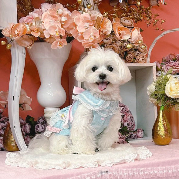 Elsamilu Romantic Blue Lace Bow Pet Dress – Elegant Outfit for Small Dogs & Cats