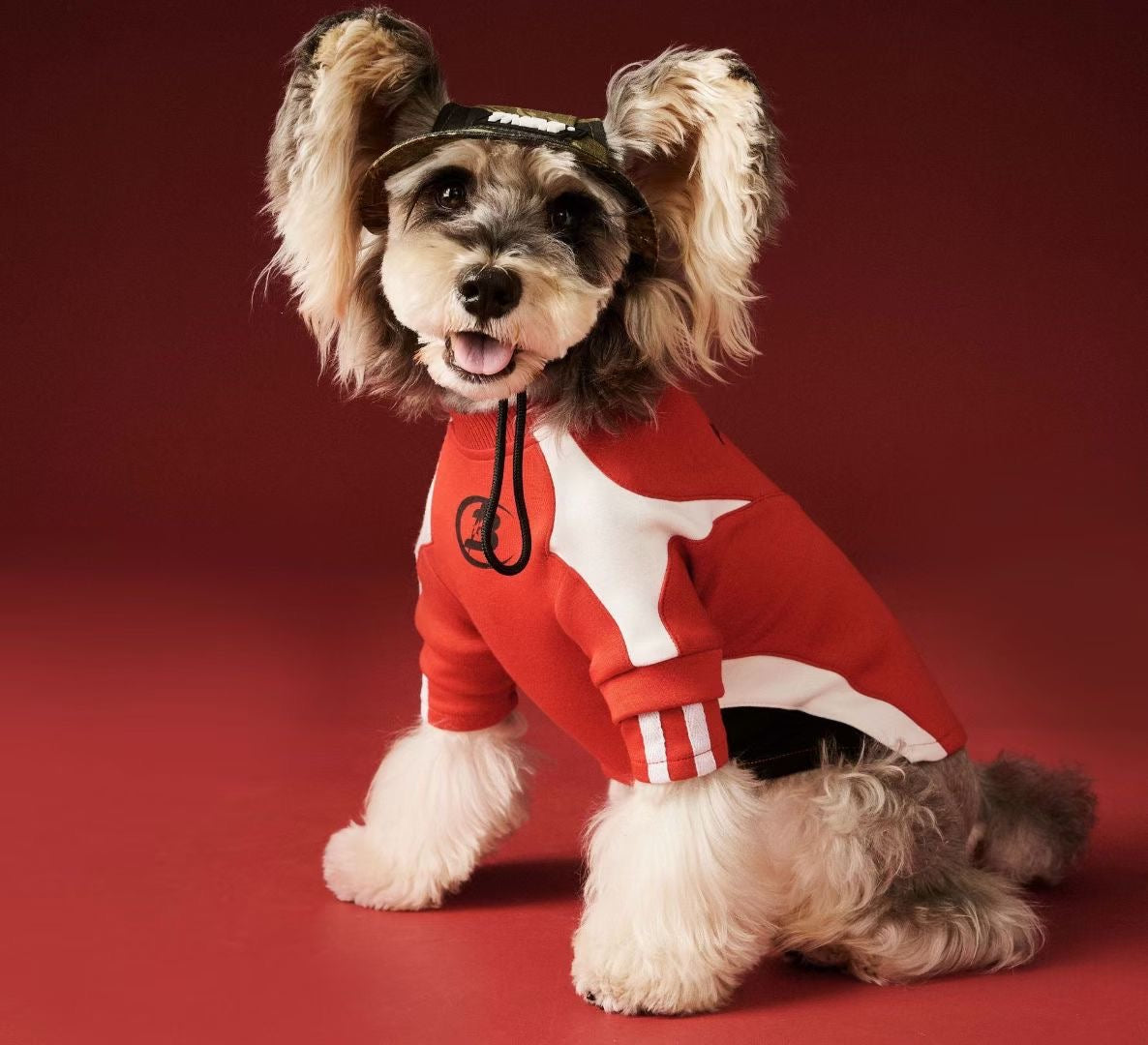 Lightning Stitch Patchwork Hoodie | Pet Clothes