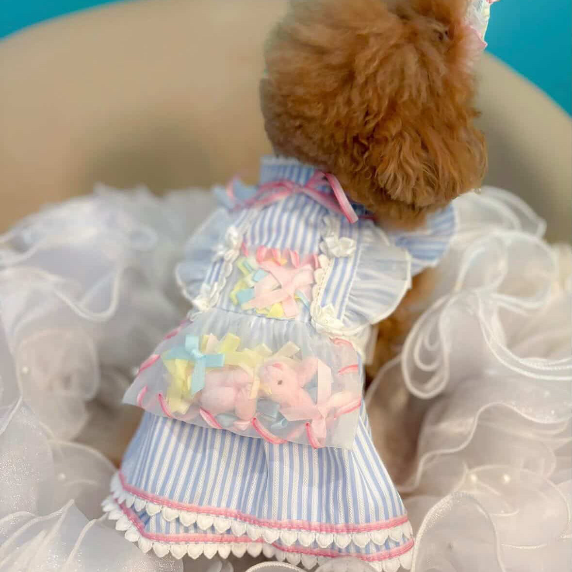 Elsamilu Dreamy Blue Pet Dress – Elegant Princess Lace Outfit for Small Dogs & Cats