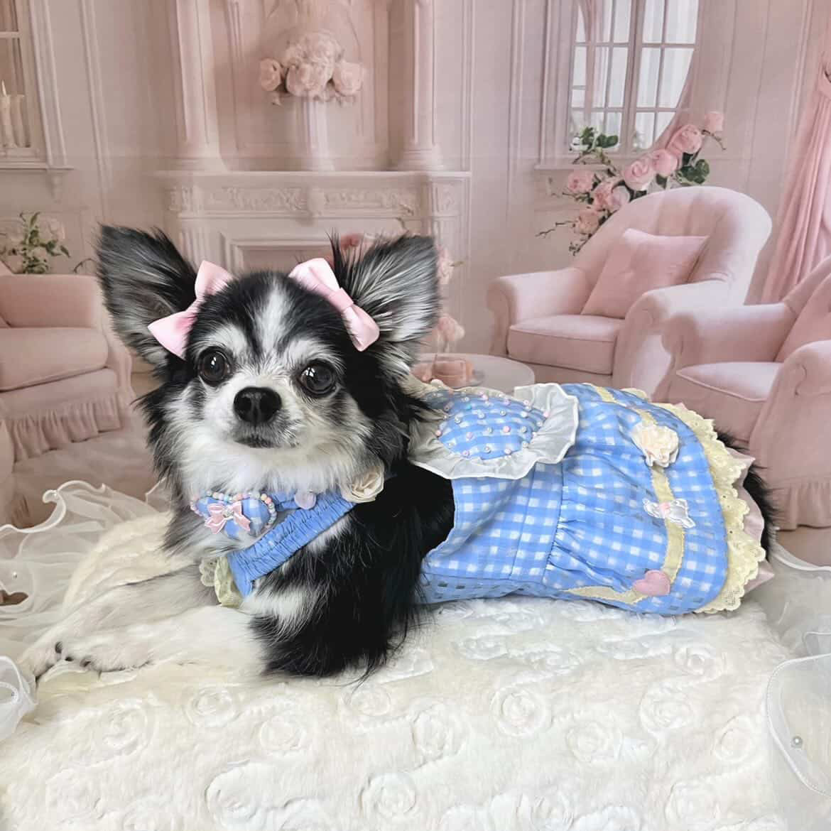 Elsamilu ラブリーハート ロマンティック ペットドレスセット - 小型犬・猫用 ネックレス付き ブルーレースワンピース