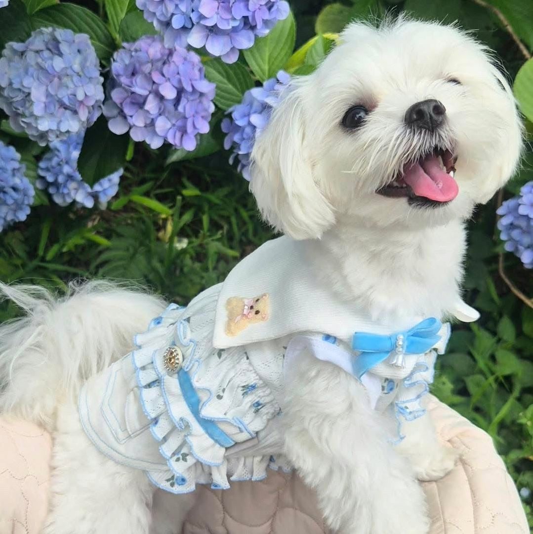 Elsamilu Twinkle Bear Pet Dress – Blue Cute Outfit for Small Dogs & Cats
