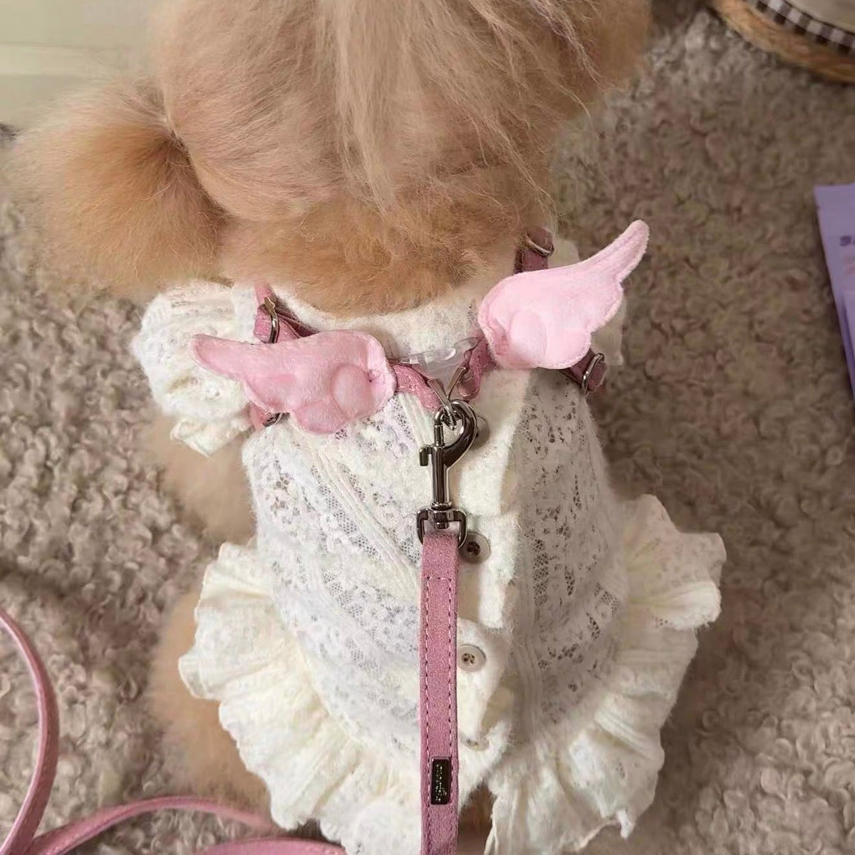Puppytie Angel Wings No Pull Dog & Cat Harness Set – Adjustable Harness & Leash for Small Pets