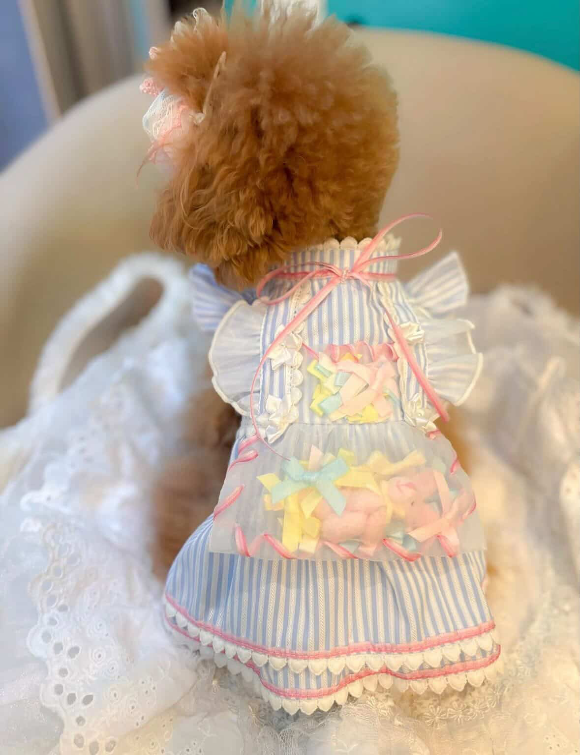 Elsamilu Dreamy Blue Pet Dress – Elegant Princess Lace Outfit for Small Dogs & Cats