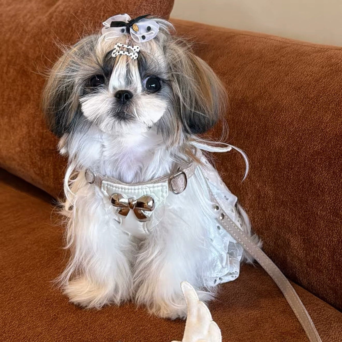 Puppytie Angel Wings No Pull Dog & Cat Harness Set – Adjustable Harness & Leash for Small Pets