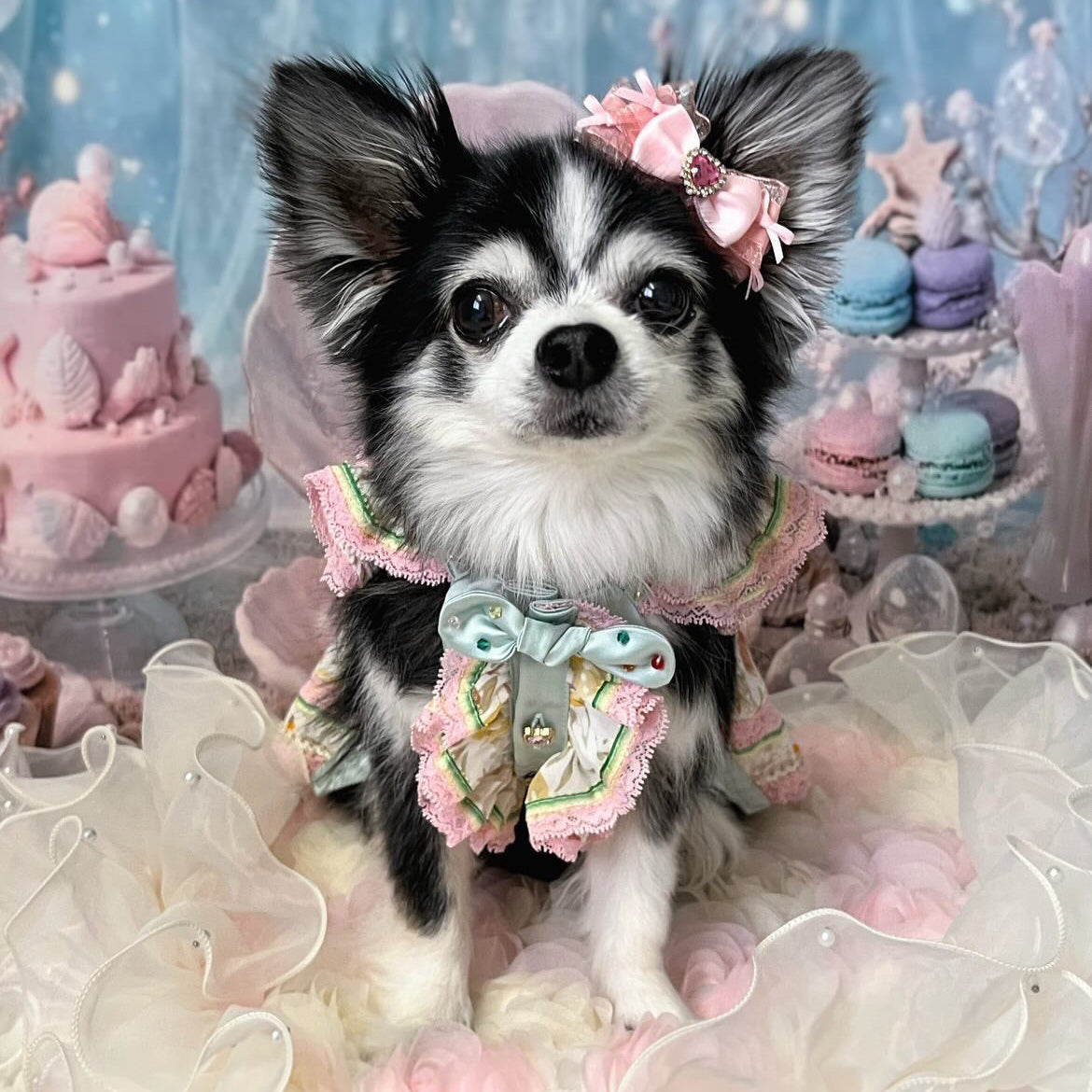 エルサミル 花園レース 犬用ワンピース – ピンク＆ミント