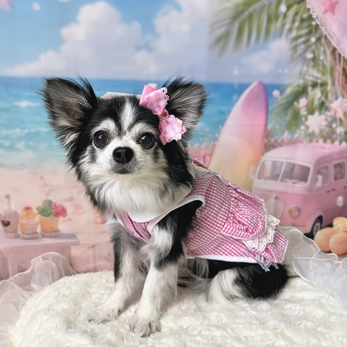 Elsamilu Pink Gingham Lace Princess Dress