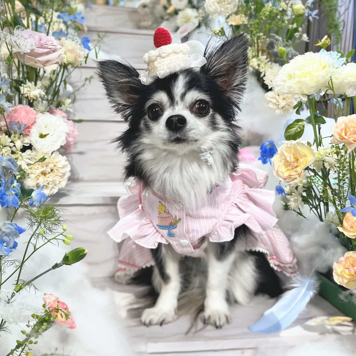 エルサミル ドリーミーピンク ペットドレス – 小型犬・猫用プリンセスレースワンピース