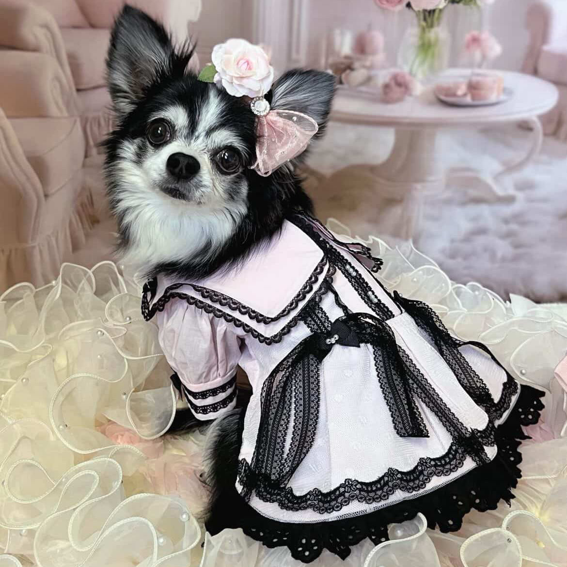 エルサミル ゴシックロマンス 長袖ペットドレス - ピンク＆ブルーのレース 小型犬＆猫用