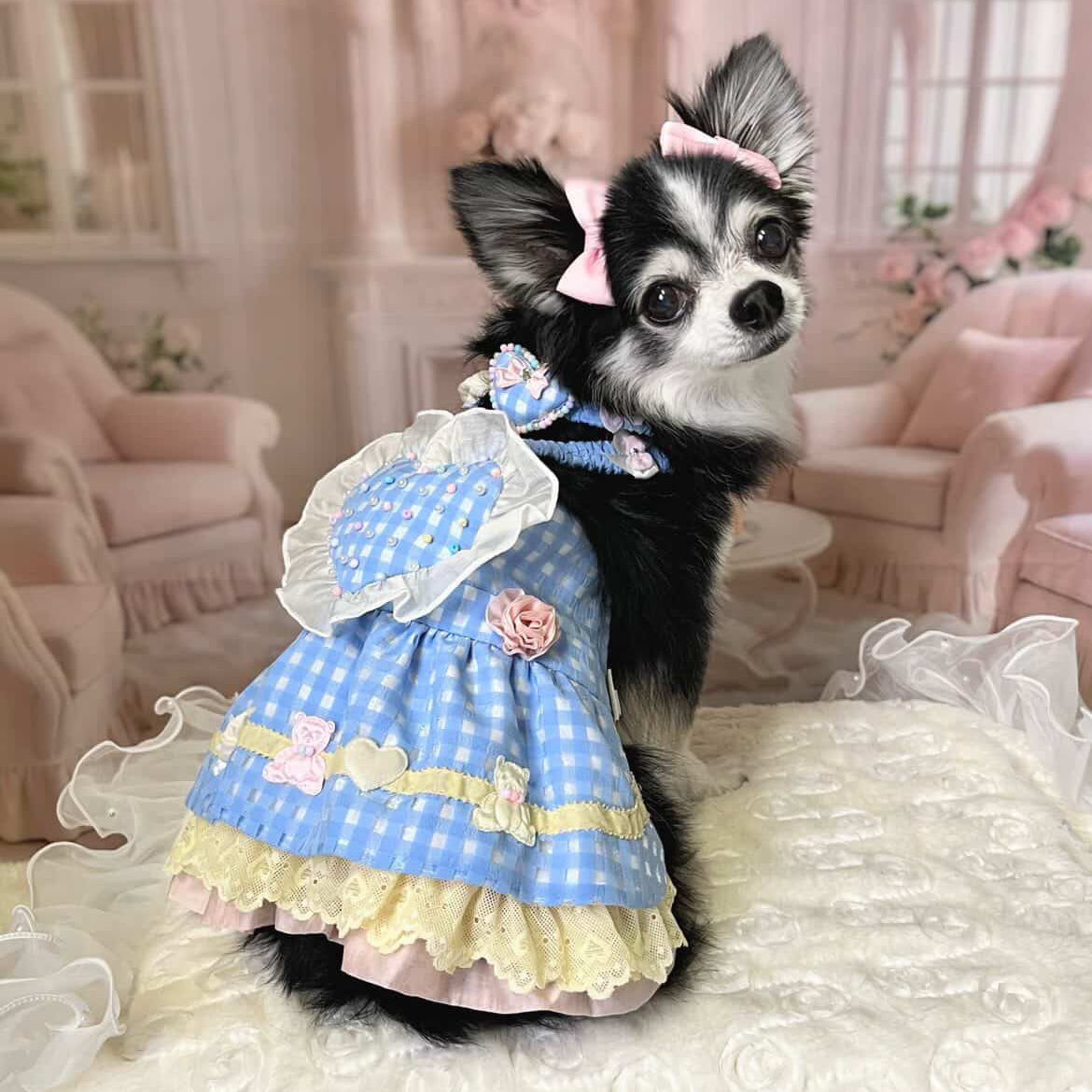 Elsamilu ラブリーハート ロマンティック ペットドレスセット - 小型犬・猫用 ネックレス付き ブルーレースワンピース