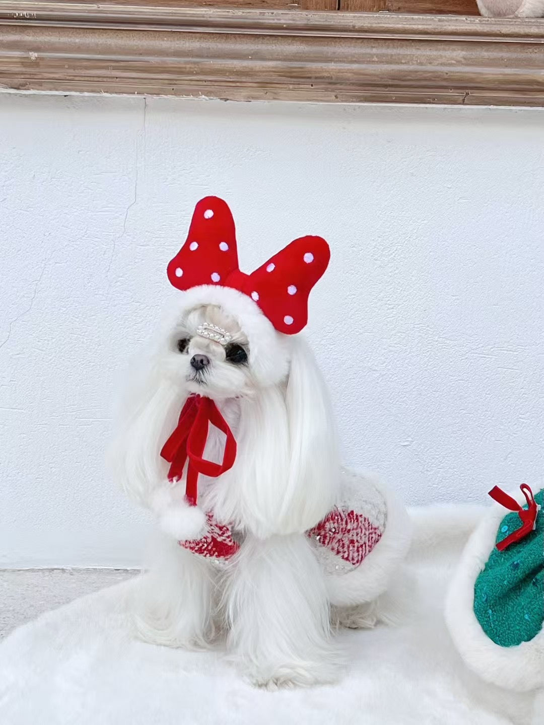 Autumn Bless Festive Polka Dot Bow Hat