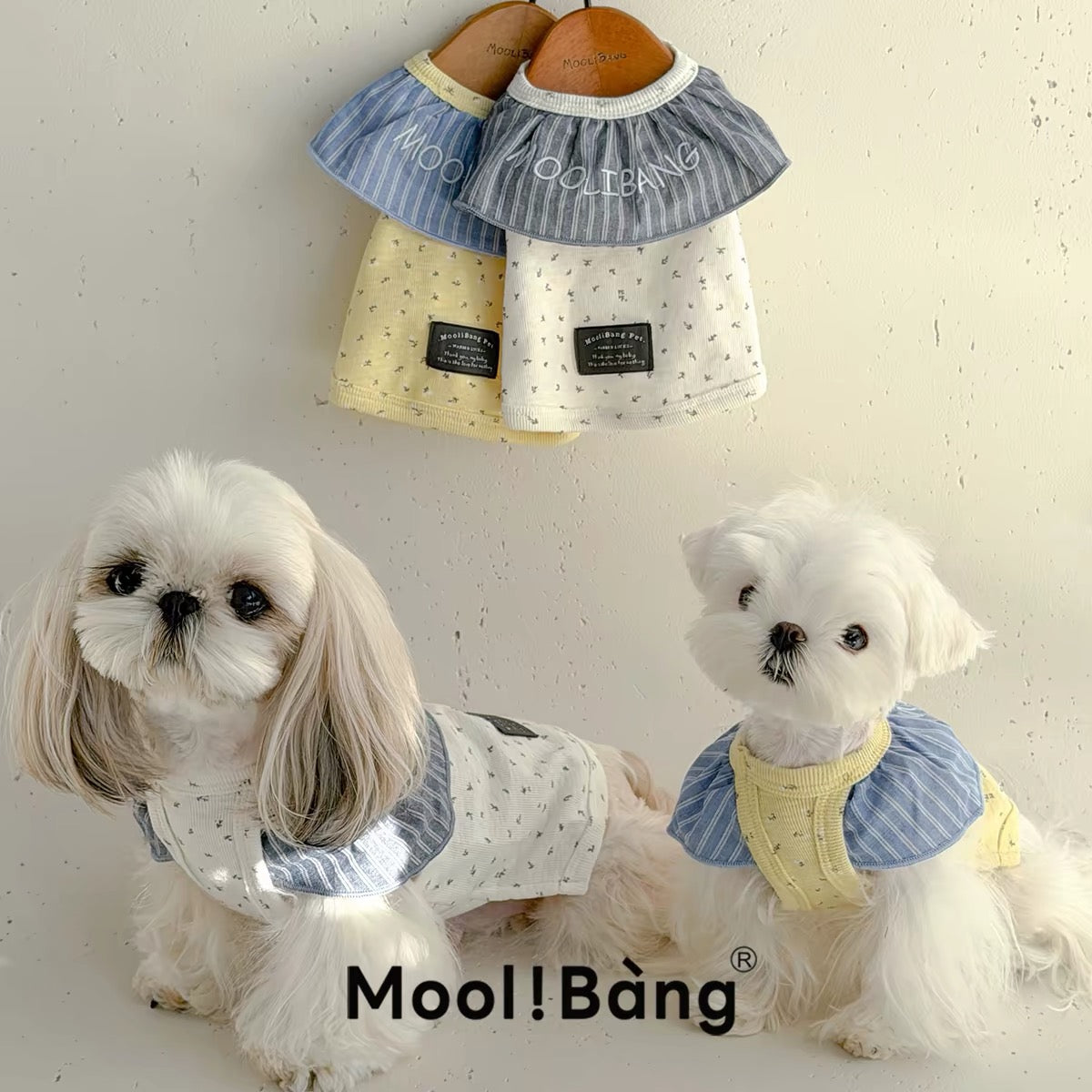 Mooli Bang Little Flower Ruffle Collar Top