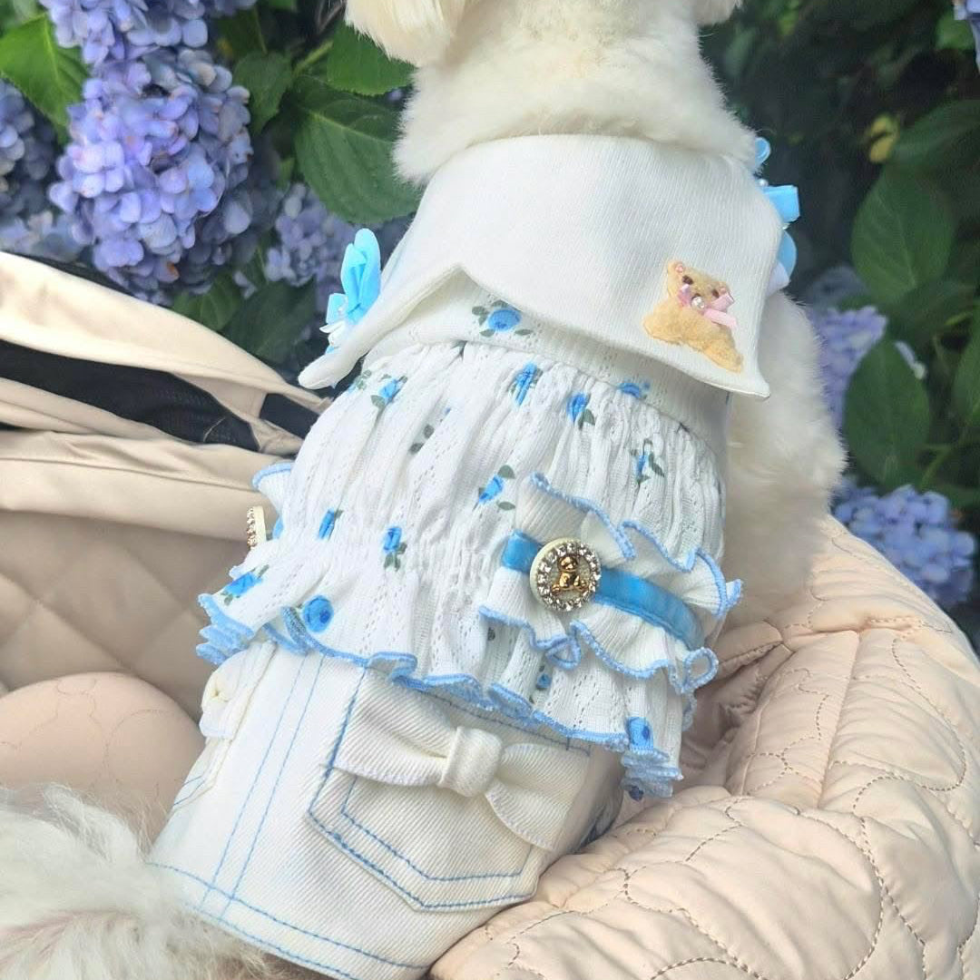 Elsamilu Twinkle Bear Pet Dress – Blue Cute Outfit for Small Dogs & Cats