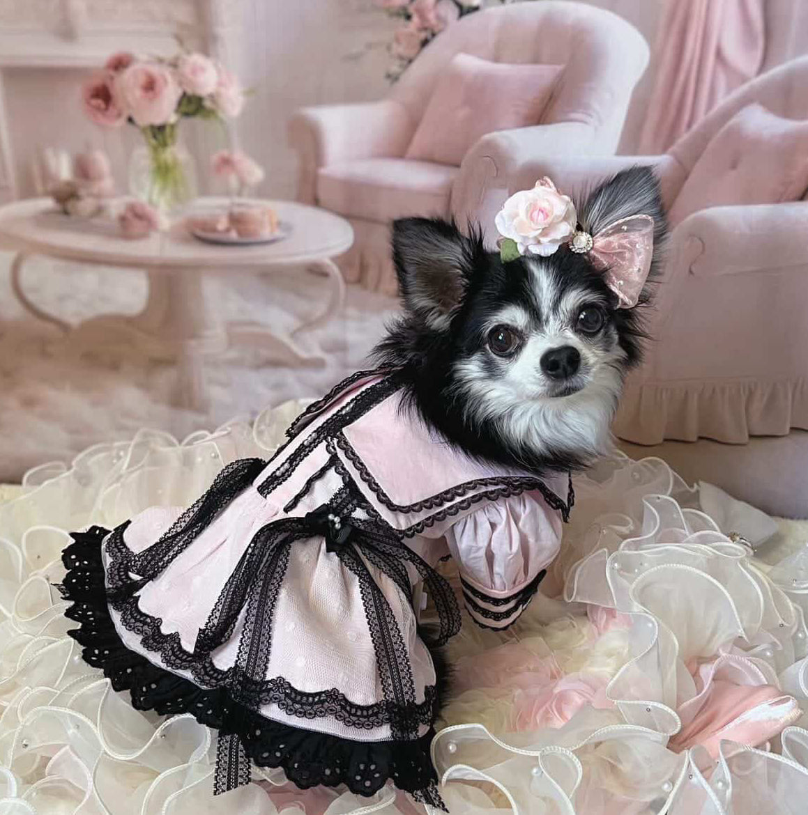 エルサミル ゴシックロマンス 長袖ペットドレス - ピンク＆ブルーのレース 小型犬＆猫用
