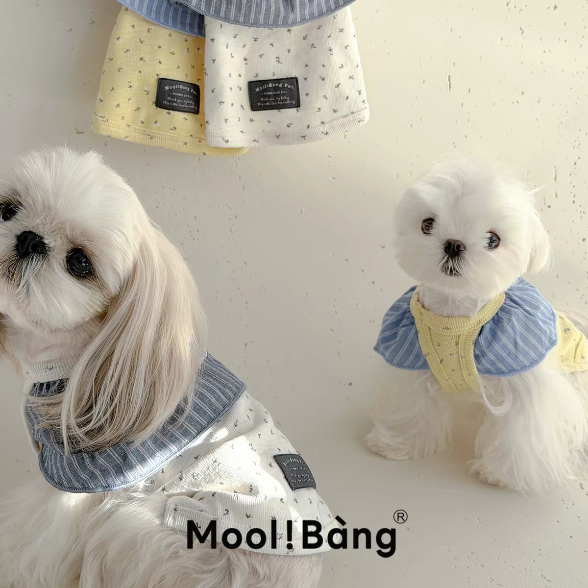 Mooli Bang Little Flower Ruffle Collar Top