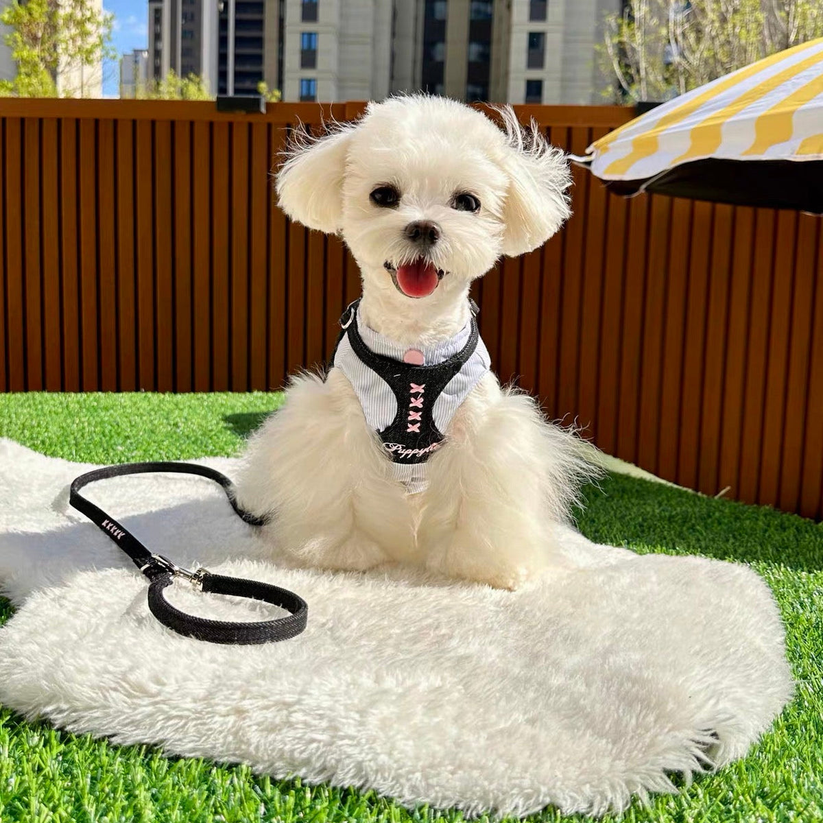 Puppytie Denim Cross Stitch No Pull Dog & Cat Harness – Adjustable Vest Harness for Small Pets