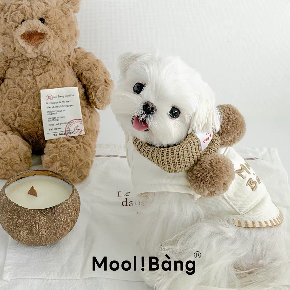 Mooli Bang Teddy Pom Pom Knit Collar Top