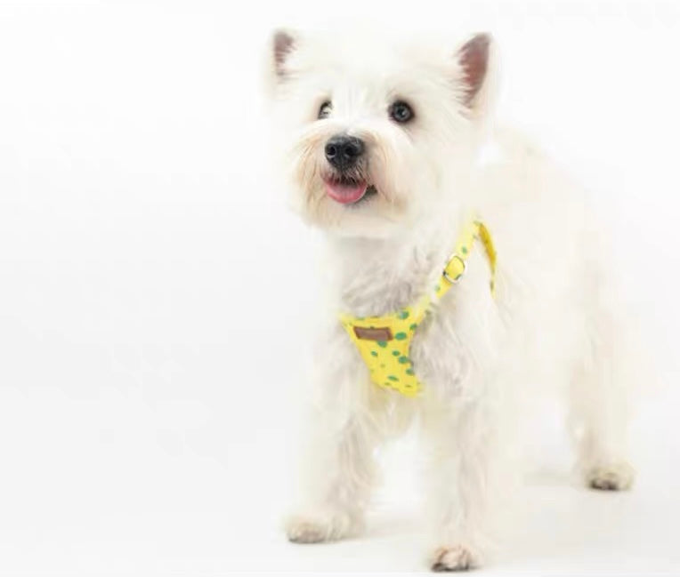 Puppytie ノープル犬猫用ハーネス – ポルカドットの世界 | No-Pull Dog & Cat Harness – A World of Polka Dots