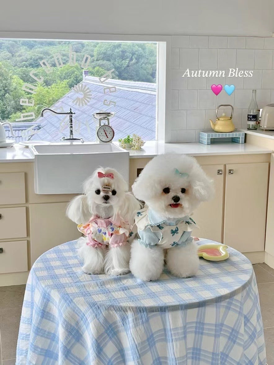 Autumn Bless Floral Ruffle Dress with Harness Attachment for Small Dogs – Cute Button Details