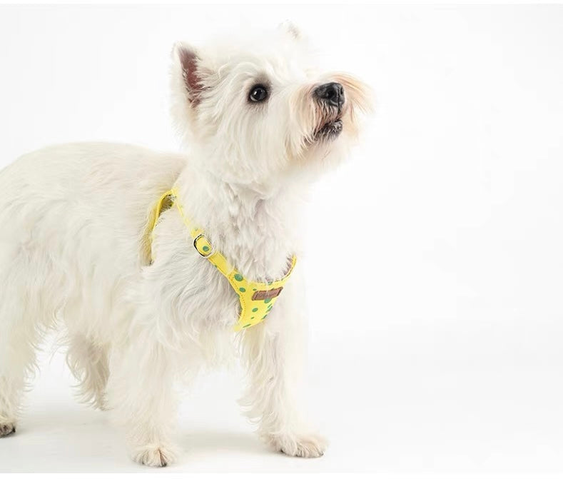 Puppytie ノープル犬猫用ハーネス – ポルカドットの世界 | No-Pull Dog & Cat Harness – A World of Polka Dots