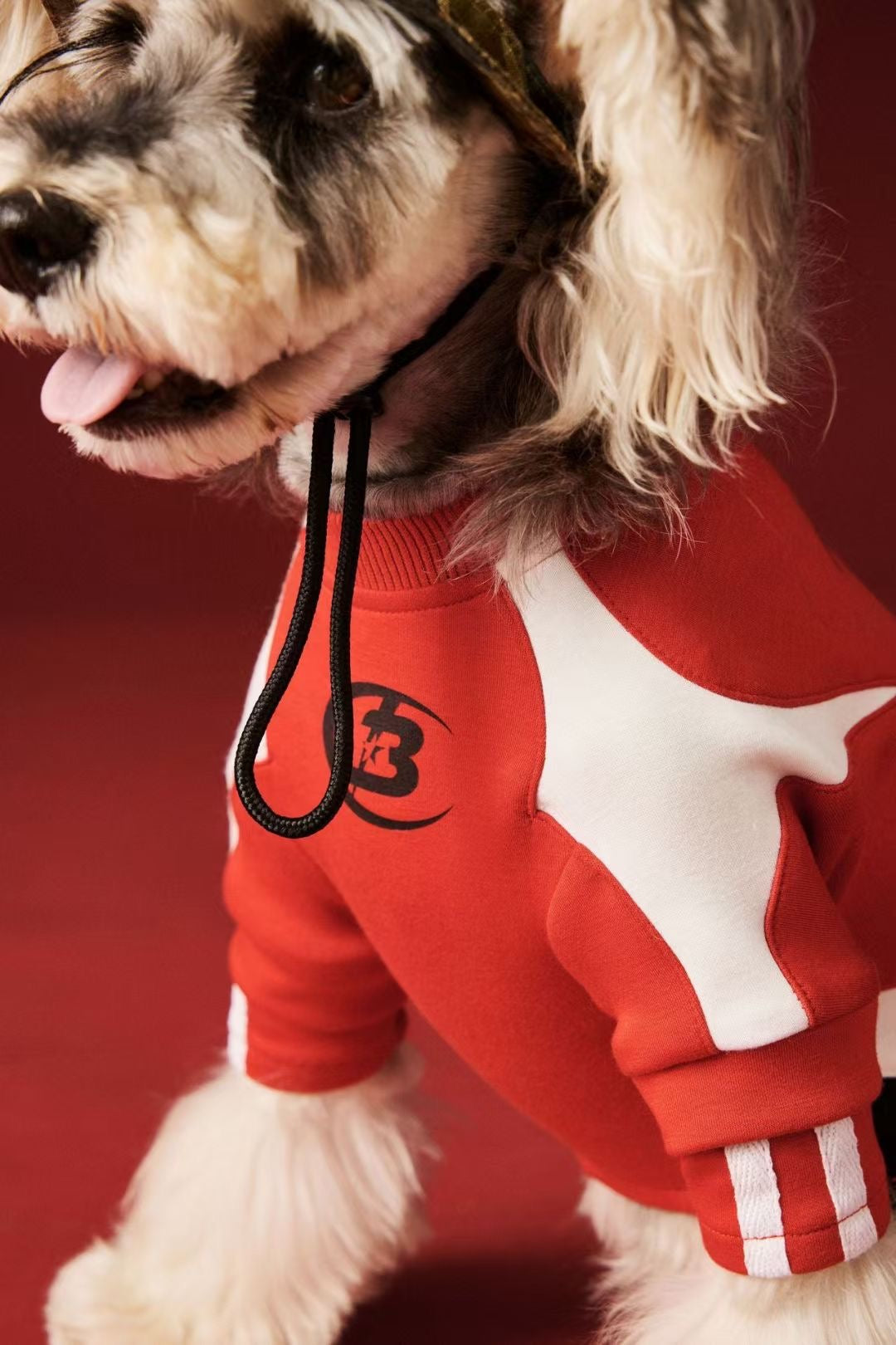 Lightning Stitch Patchwork Hoodie | Pet Clothes