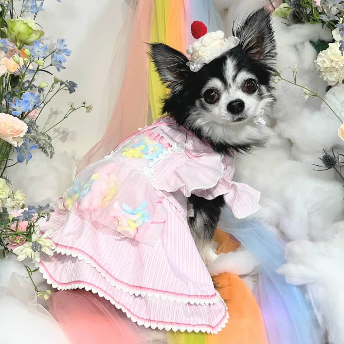 エルサミル ドリーミーピンク ペットドレス – 小型犬・猫用プリンセスレースワンピース