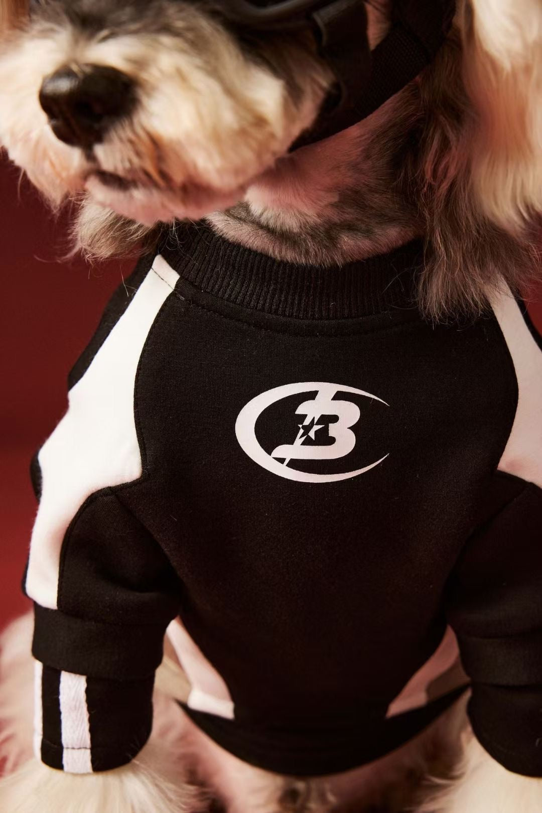 Lightning Stitch Patchwork Hoodie | Pet Clothes