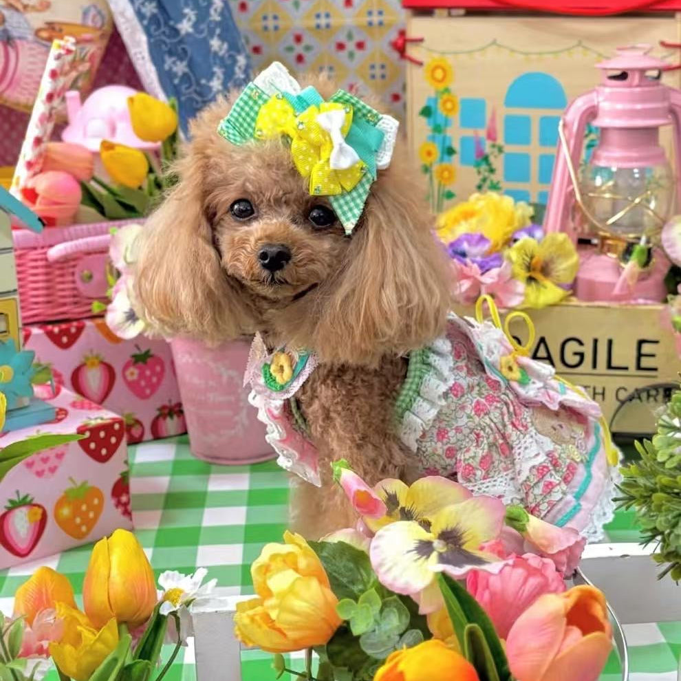 Elsamilu フェアリーフォレストエプロンペットドレス – 小型犬・猫用ロマンティックワンピース