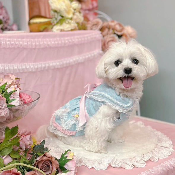 Elsamilu Romantic Blue Lace Bow Pet Dress – Elegant Outfit for Small Dogs & Cats