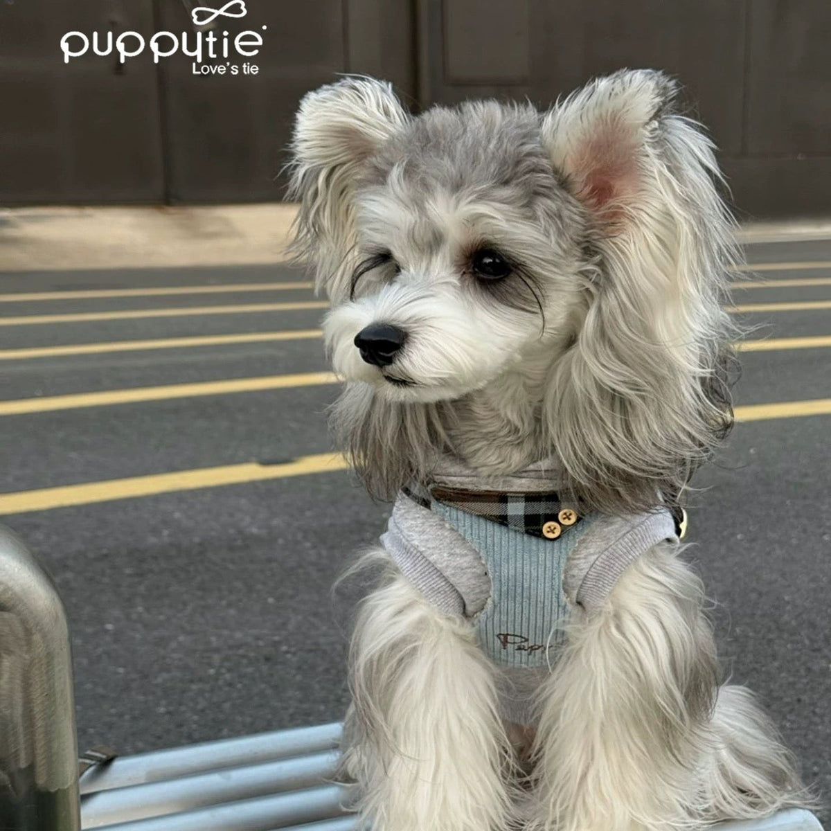 Puppytie 軽量ヴィンテージチェック柄ペットハーネス（猫と小型犬用）| ソフトコーデュロイ| Puppytie Lightweight Vintage Plaid Pet Harness for Cats & Small Dogs | Soft Corduroy