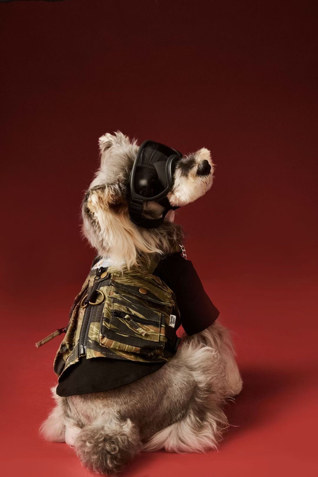 Tactical Camouflage Harness Vest with Leash Clip | Pet Clothes