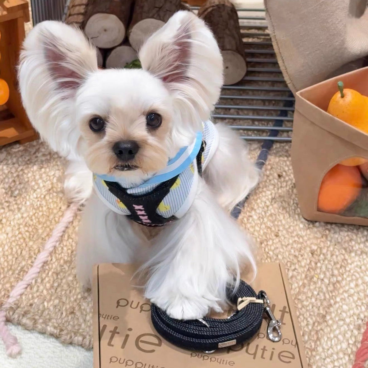 Puppytie Denim Cross Stitch No Pull Dog & Cat Harness – Adjustable Vest Harness for Small Pets