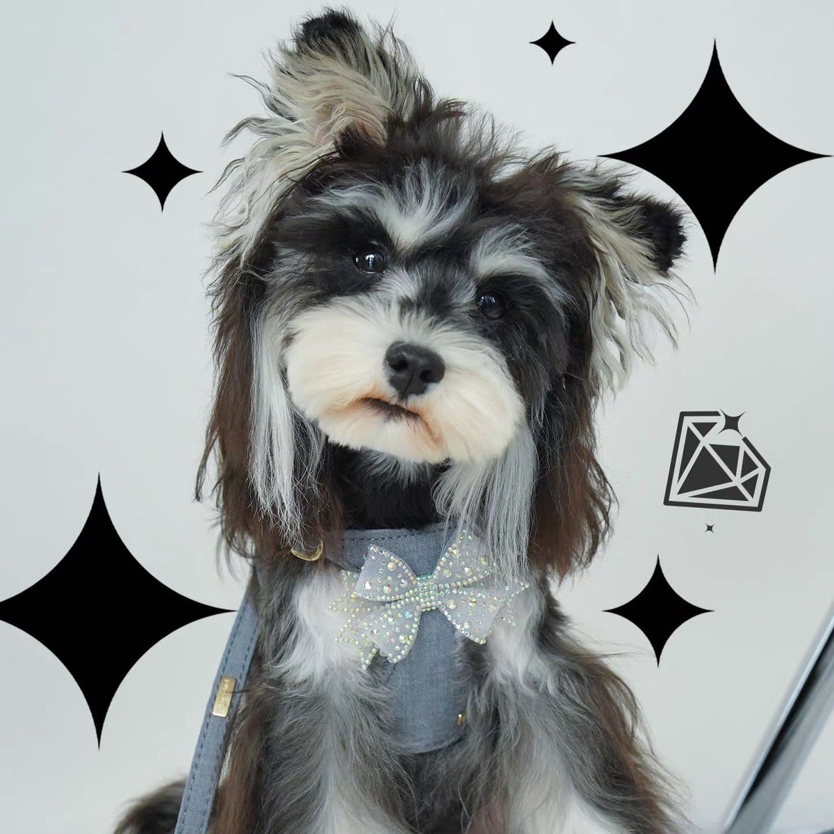 Puppytie スパークリングラインストーンボウドッグ＆キャットハーネス – 通気性のあるTR生地使用、スタイリッシュなペットベスト|Sparkling Rhinestone Bow Dog & Cat Harness – Breathable TR Fabric, Stylish Pet Vest