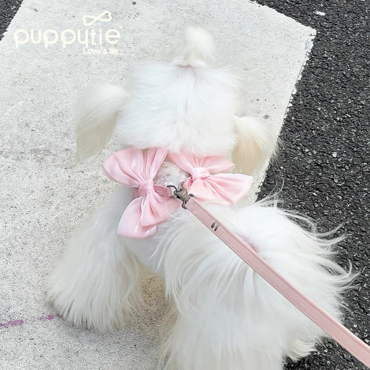 Puppytie ソフトピンクミラーレザーペットハーネス（リボン付き）| 猫＆小型犬用| Puppytie Soft Pink Mirror Leather Pet Harness with Bow | Cats & Small Dogs